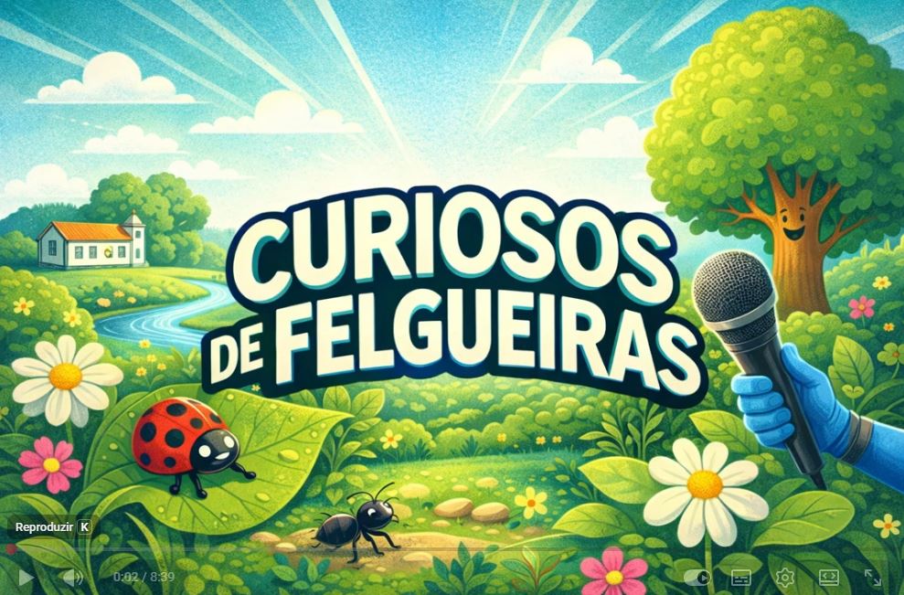 Curiosos de Felgueiras